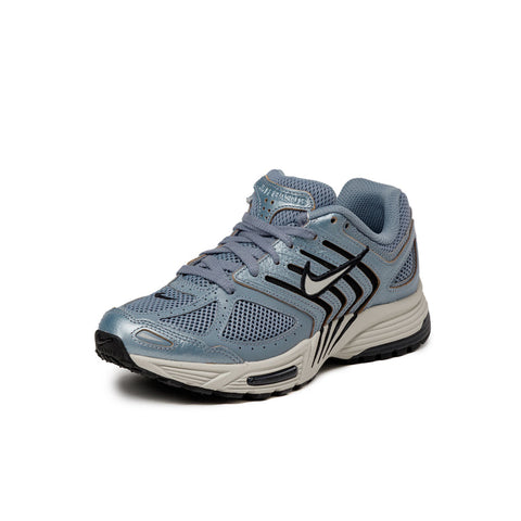 Wmns Air Pegasus 2005