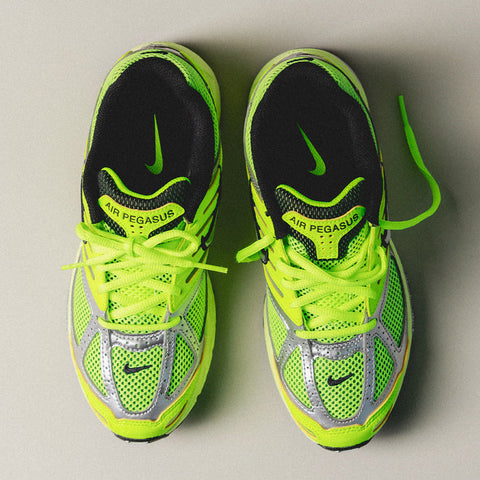 Wmns Air Pegasus 2005