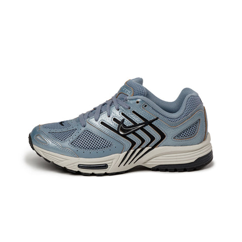 Wmns Air Pegasus 2005