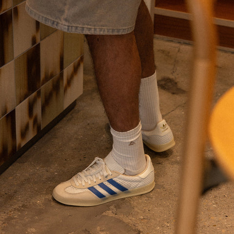 Gazelle Indoor
