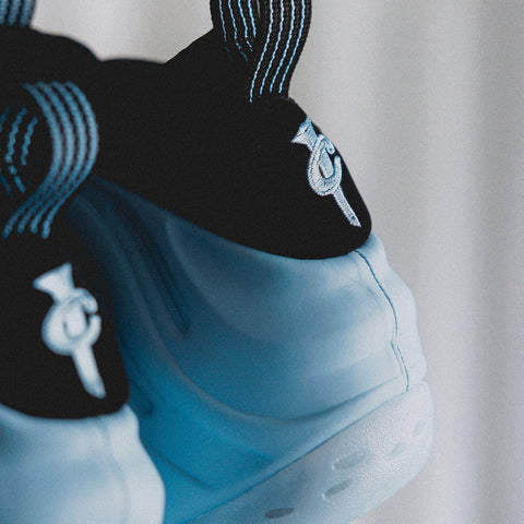 Air Foamposite One