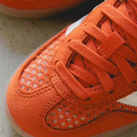 Gazelle Indoor