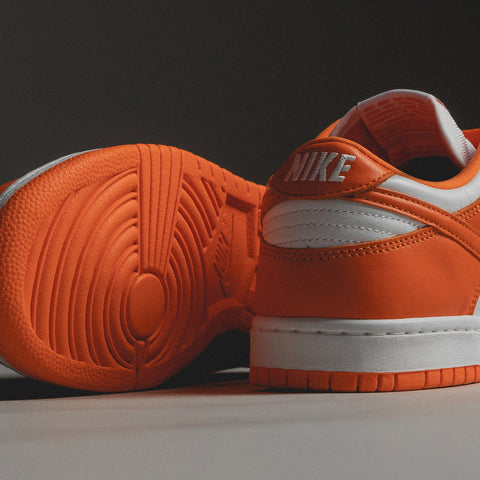 Dunk Low Retro