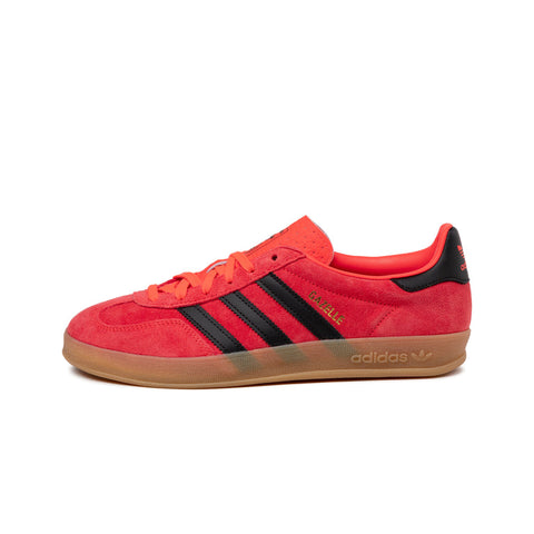 Gazelle Indoor