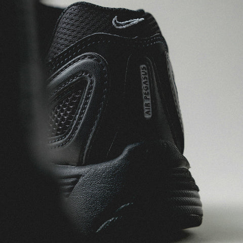 Air Pegasus 2005