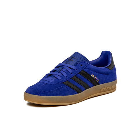 Gazelle Indoor